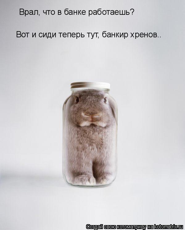 Врал, что в банке работаешь? Вот и сиди теперь тут, банкир хренов..... Котоматрица: Врал, что в банке работаешь? Вот и сиди теперь тут, банкир хренов..