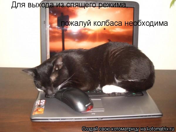 пожалуй колбаса необходима Для выхода из спящего режима,... Котоматрица: пожалуй колбаса необходима Для выхода из спящего режима,