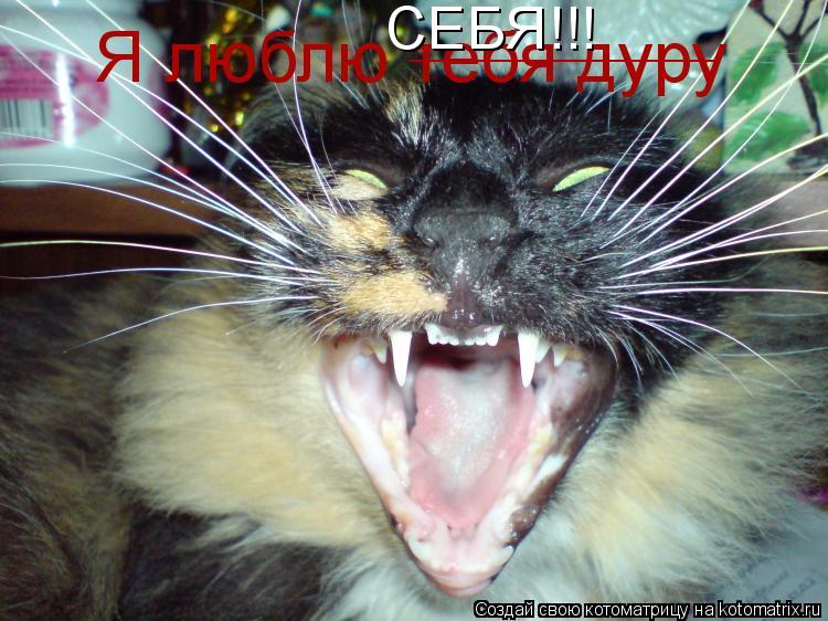 ___________________ СЕБЯ!!!... Котоматрица: ___________________ СЕБЯ!!!