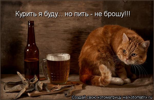 Курить я буду... но пить - не брошу!!!... Котоматрица: Курить я буду... но пить - не брошу!!!