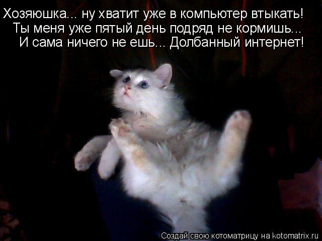 Хозяюшка... ну хватит уже в компьютер втыкать! Ты меня уже пятый день подряд не кормишь... И сама нич... Котоматрица: Хозяюшка... ну хватит уже в компьютер втыкать! Ты меня уже пятый день подряд не кормишь... И сама ничего не ешь... Долбанный интернет!