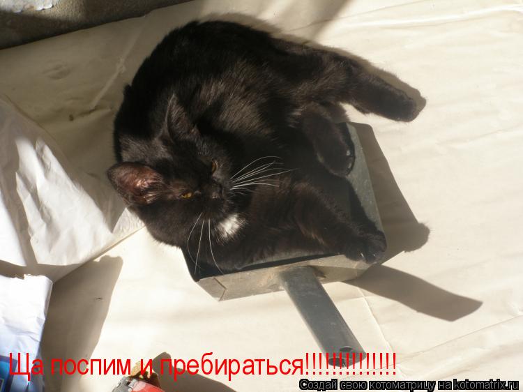 Ща поспим и пребираться!!!!!!!!!!!!!!... Котоматрица: Ща поспим и пребираться!!!!!!!!!!!!!!