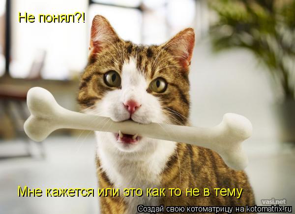 Не понял?! Мне кажется или это как то не в тему... Котоматрица: Не понял?! Мне кажется или это как то не в тему