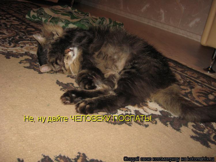 Не, ну дайте ЧЕЛОВЕКУ ПОСПАТЬ!... Котоматрица: Не, ну дайте ЧЕЛОВЕКУ ПОСПАТЬ!