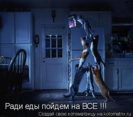 Ради еды пойдем на ВСЕ !!!... Котоматрица: Ради еды пойдем на ВСЕ !!!