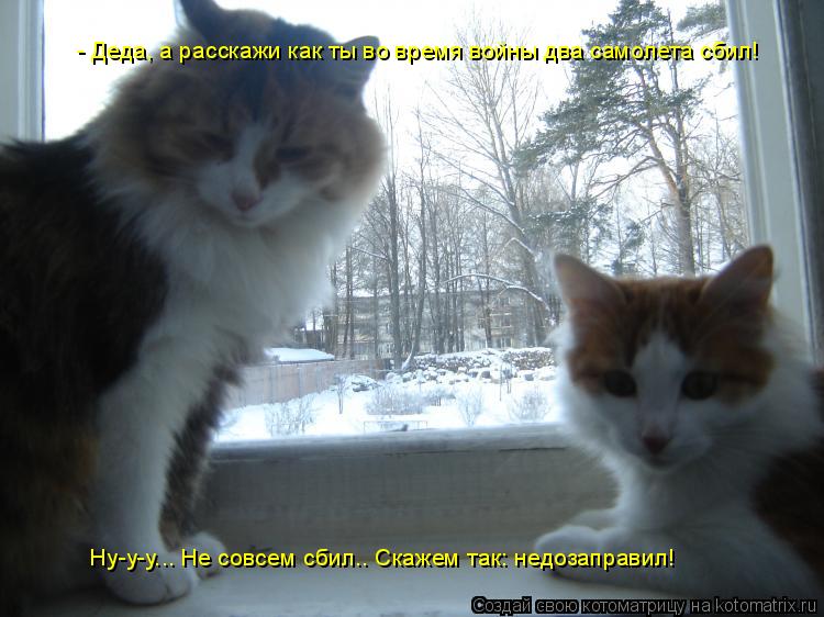 - Деда, а расскажи как ты во время войны два самолета сбил! Ну-у-у... Не совсем сбил.. Скажем так: н... Котоматрица: - Деда, а расскажи как ты во время войны два самолета сбил! Ну-у-у... Не совсем сбил.. Скажем так: недозаправил!