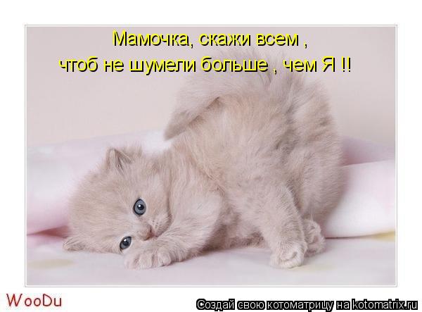 Мамочка, скажи всем , чтоб не шумели больше , чем Я !!... Котоматрица: Мамочка, скажи всем , чтоб не шумели больше , чем Я !!