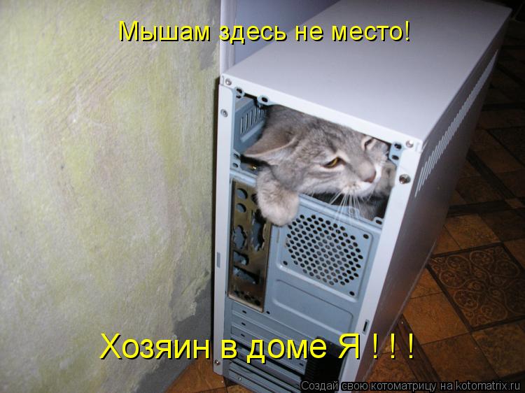 Хозяин в доме Я ! ! ! Мышам здесь не место!... Котоматрица: Хозяин в доме Я ! ! ! Мышам здесь не место!