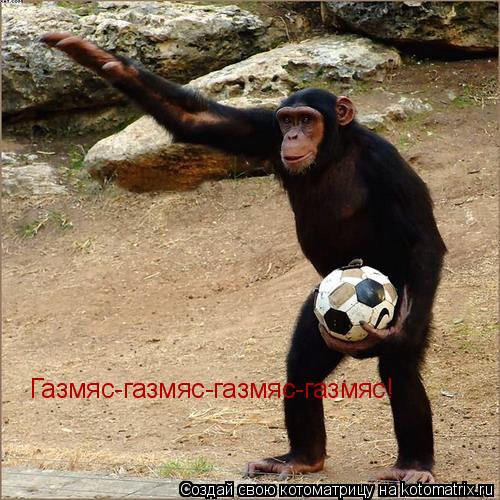 Газмяс-газмяс-газмяс-газмяс!... Котоматрица: Газмяс-газмяс-газмяс-газмяс!