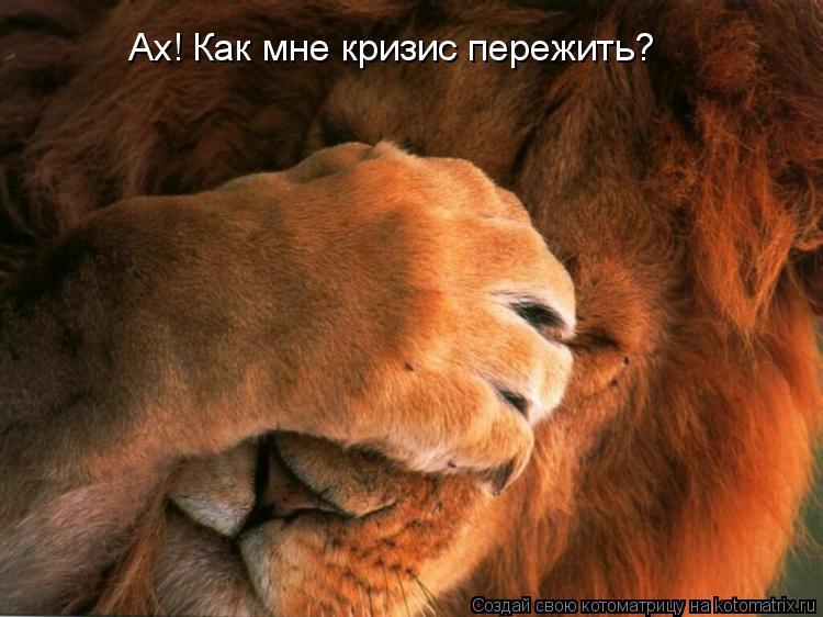 Ах! Как мне кризис пережить?... Котоматрица: Ах! Как мне кризис пережить?