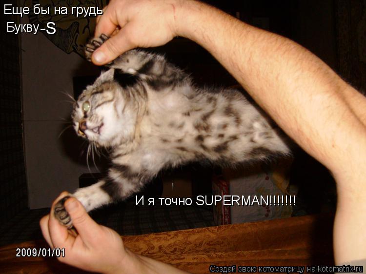 Еще бы на грудь Букву -S И я точно SUPERMAN!!!!!!!... Котоматрица: Еще бы на грудь Букву -S И я точно SUPERMAN!!!!!!!
