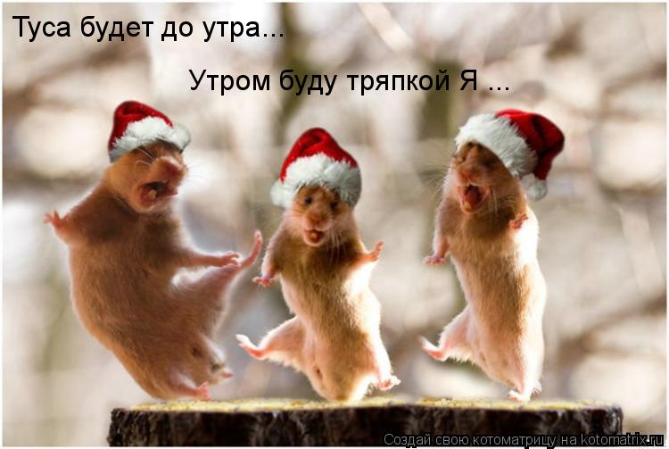 Туса будет до утра... Утром буду тряпкой Я ...... Котоматрица: Туса будет до утра... Утром буду тряпкой Я ...
