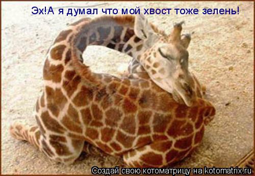 Котоматрица: Эх!А я думал что мой хвост тоже зелень!