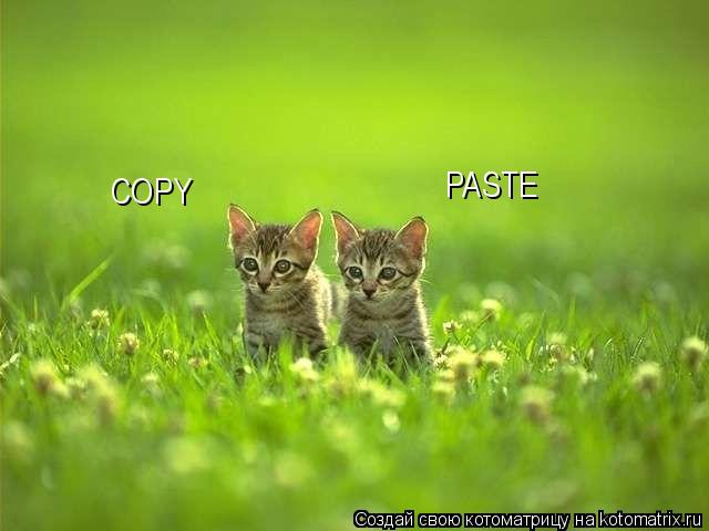 COPY PASTE... Котоматрица: COPY PASTE
