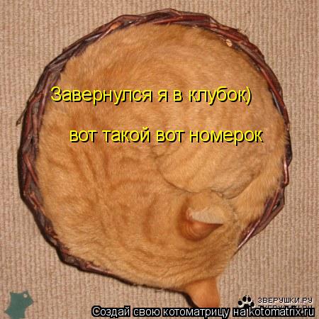 Завернулся я в клубок) вот такой вот номерок... Котоматрица: Завернулся я в клубок) вот такой вот номерок