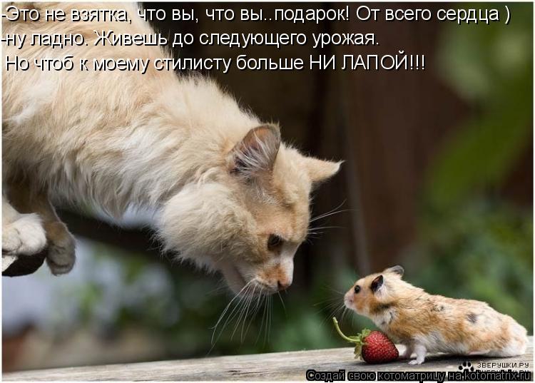 -Это не взятка, что вы, что вы..подарок! От всего сердца ) -ну ладно. Живешь до следующего урожая. Н... Котоматрица: -Это не взятка, что вы, что вы..подарок! От всего сердца ) -ну ладно. Живешь до следующего урожая. Но чтоб к моему стилисту больше НИ ЛАПОЙ!!!