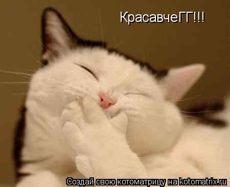 КрасавчеГГ!!!... Котоматрица: КрасавчеГГ!!!