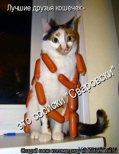 Лучшие друзья кошечек - это сосиски "Сваровски"... Котоматрица: Лучшие друзья кошечек - это сосиски "Сваровски"