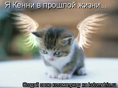 Я Кенни в прошлой жизни...... Котоматрица: Я Кенни в прошлой жизни...