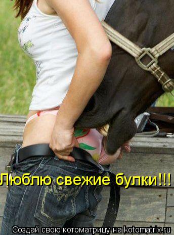 Люблю свежие булки!!!... Котоматрица: Люблю свежие булки!!!