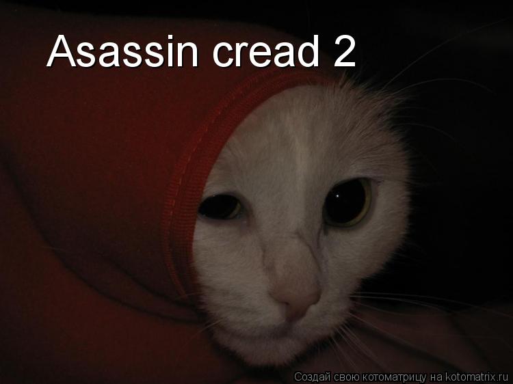 Котоматрица: Asassin cread 2