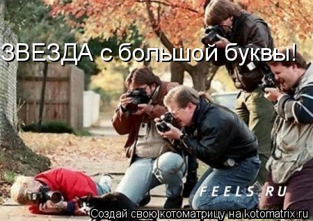 ЗВЕЗДА с большой буквы!... Котоматрица: ЗВЕЗДА с большой буквы!