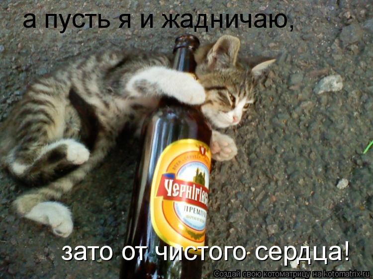 а пусть я и жадничаю, зато от чистого сердца!... Котоматрица: а пусть я и жадничаю, зато от чистого сердца!