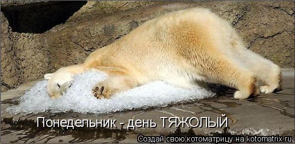 Понедельник - день ТЯЖОЛЫЙ... Котоматрица: Понедельник - день ТЯЖОЛЫЙ