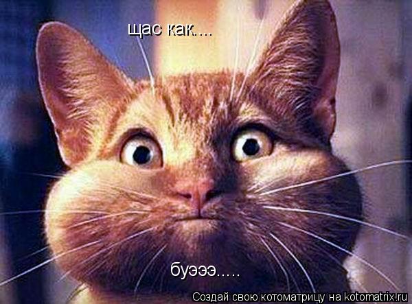 щас как.... буэээ........ Котоматрица: щас как.... буэээ.....
