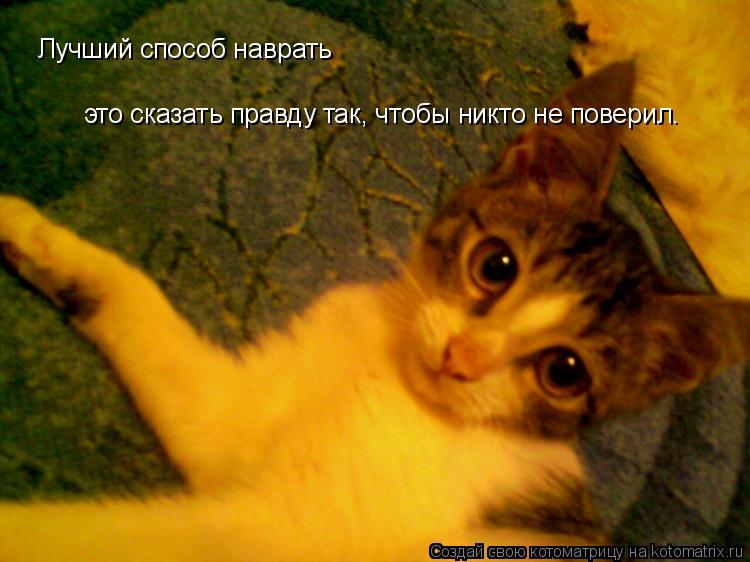 Котоматрица: Лучший способ наврать  это сказать правду так, чтобы никто не поверил.