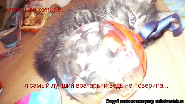 говорил же хозяйке: я самый лучший вратарь! и ведь не поверила...... Котоматрица: говорил же хозяйке: я самый лучший вратарь! и ведь не поверила...