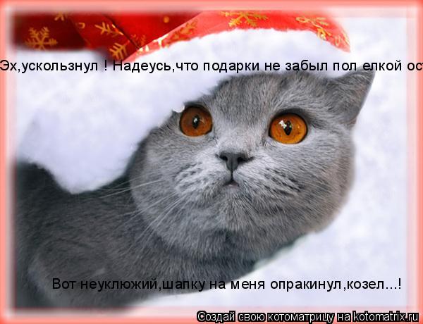 Эх,ускользнул ! Надеусь,что подарки не забыл пол елкой оставить! Вот неуклюжий,шапку на меня опракину... Котоматрица: Эх,ускользнул ! Надеусь,что подарки не забыл пол елкой оставить! Вот неуклюжий,шапку на меня опракинул,козел...!