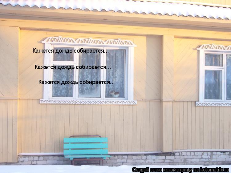 Кажется дождь собирается... Кажется дождь собирается... Кажется дождь собирается...... Котоматрица: Кажется дождь собирается... Кажется дождь собирается... Кажется дождь собирается...
