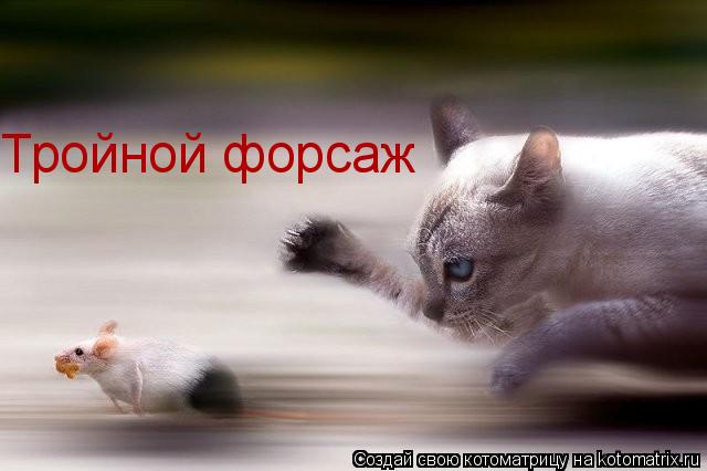Тройной форсаж... Котоматрица: Тройной форсаж