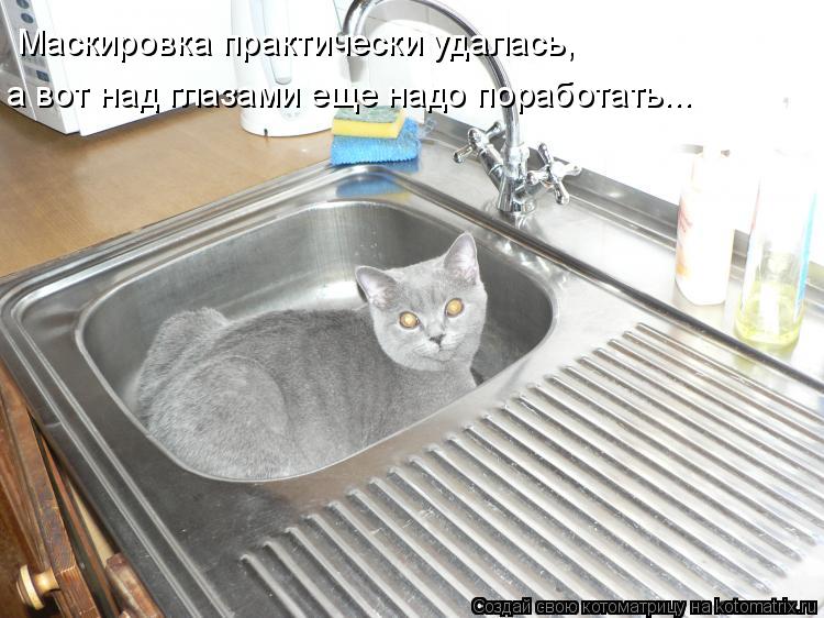 Маскировка практически удалась, а вот над глазами еще надо поработать...... Котоматрица: Маскировка практически удалась, а вот над глазами еще надо поработать...