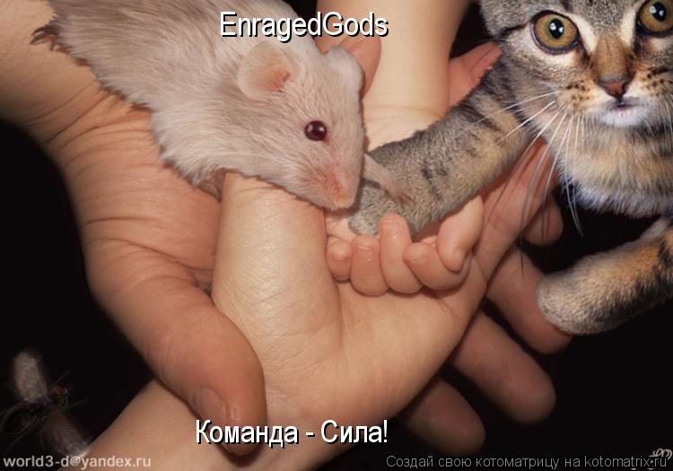 EnragedGods Команда - Сила!... Котоматрица: EnragedGods Команда - Сила!