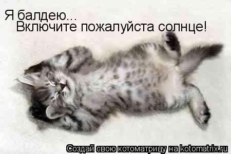 Я балдею... Включите пожалуйста солнце!... Котоматрица: Я балдею... Включите пожалуйста солнце!