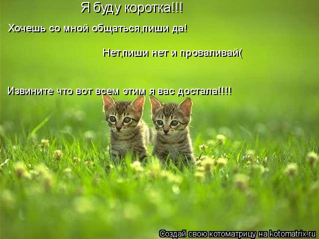 Я буду коротка!!! Хочешь со мной общаться,пиши да! Нет,пиши нет и проваливай( Извините что вот всем э... Котоматрица: Я буду коротка!!! Хочешь со мной общаться,пиши да! Нет,пиши нет и проваливай( Извините что вот всем этим я вас достала!!!!
