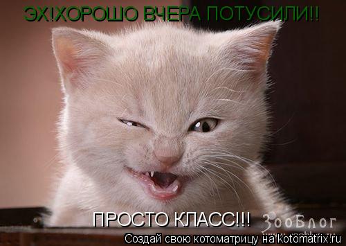 ЭХ!ХОРОШО ВЧЕРА ПОТУСИЛИ!! ПРОСТО КЛАСС!!!... Котоматрица: ЭХ!ХОРОШО ВЧЕРА ПОТУСИЛИ!! ПРОСТО КЛАСС!!!
