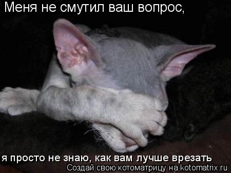 Котоматрица: Меня не смутил ваш вопрос, я просто не знаю, как вам лучше врезать