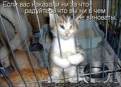 Если вас наказали ни за что- радуйтесь,что вы ни в чем не виноваты.... Котоматрица: Если вас наказали ни за что- радуйтесь,что вы ни в чем не виноваты.