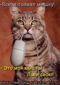 -Все, я поймал мышку! - Это моя мышка! Лови свою!... Котоматрица: -Все, я поймал мышку! - Это моя мышка! Лови свою!