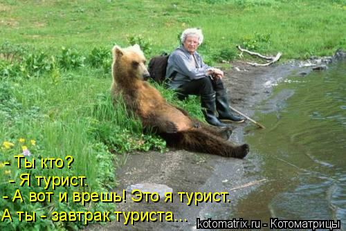 Котоматрица: - Ты кто? - Я турист. - А вот и врешь! Это я турист.  А ты - завтрак туриста...