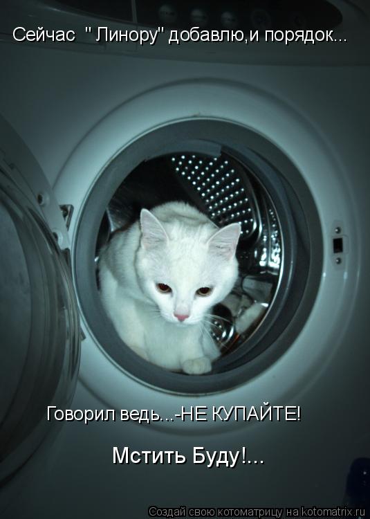 Котоматрица: Сейчас  " Линору" добавлю,и порядок... Говорил ведь...-НЕ КУПАЙТЕ!  Мстить Буду!...