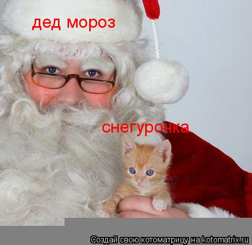 Котоматрица: дед мороз снегурочка