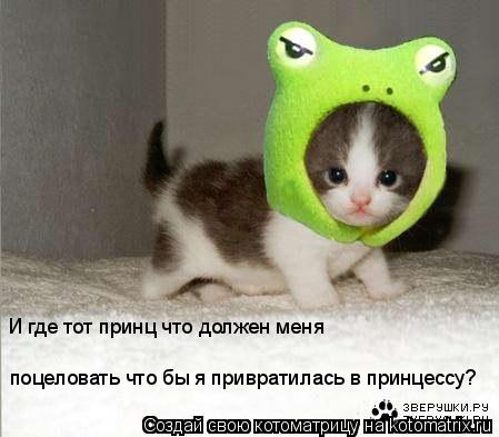 Котоматрица: И где тот принц что должен меня  поцеловать что бы я привратилась в принцессу?