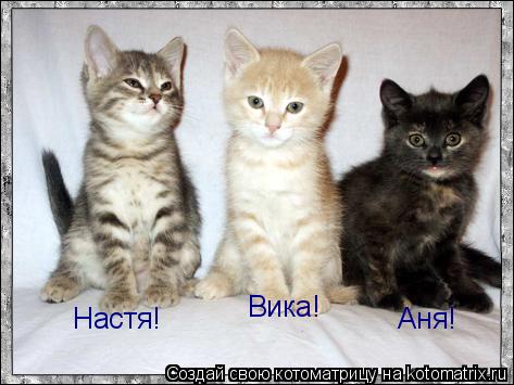 Вика! Аня! Настя!... Котоматрица: Вика! Аня! Настя!