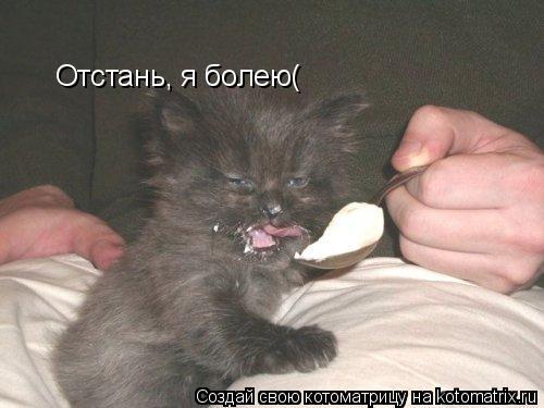 Отстань, я болею(... Котоматрица: Отстань, я болею(