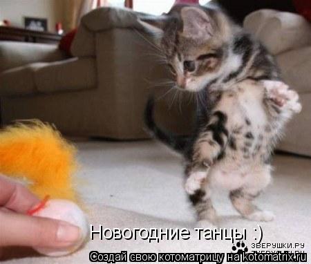 Новогодние танцы :)... Котоматрица: Новогодние танцы :)