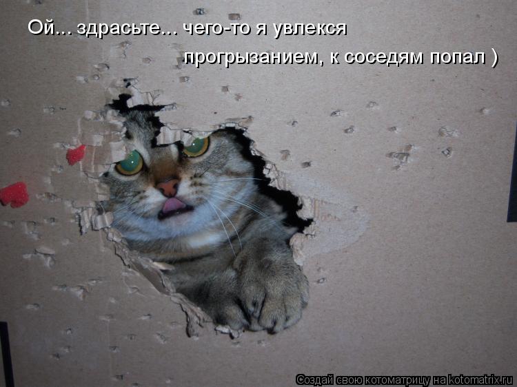 Котоматрица: Ой... здрасьте... чего-то я увлекся прогрызанием, к соседям попал )